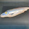 釧路自慢の時知らず！！１尾まんま（約2.2kg〜 2.3kg） 約2.2〜2.3kg 魚介類/鮭通販