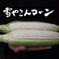 【6本入】糖度20度超え!白いとうもろこし「雪やこんコーン」 Lサイズ6本入り 野菜/とうもろこし通販