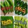 唐辛子★４品種★計1.6kg 400g×4品種 計:1.6kg 野菜/スパイス通販