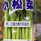 佐藤大農園　冬の寒締め小松菜　6袋 200g  ×  6袋　　計　1.2kg 野菜/小松菜通販
