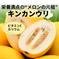 【体を労わる栄養素がたっぷり】縄文時代から食べられてきた “メロンの元祖”キンカンウリ キンカン瓜　６個入り 果物/その他果物通販