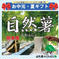 【お中元受付用】熊本産！くわはら農園の自然薯カット物2kg前後 【熨斗付き】 2kg前後 野菜/長いも・山いも通販