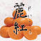 水分たっぷり甘〜い麗紅（れいこう） 箱込み約3キロ 果物/オレンジ・その他みかん通販