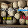 秋じゃ　1月収穫  デジマ　3kg ミックス 3kg 野菜/じゃがいも通販