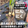葉から根まで丸ごと食べるにんにく 50個入り 野菜/にんにく通販