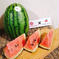 小玉スイカ🍉４玉 9kg以上 果物/スイカ通販