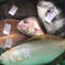 朝どれ氷見産鮮魚の詰め合わせ 魚種による 魚介類/魚介セット・詰め合わせ通販