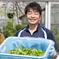 温室野菜 sano 無添加 生バジルソース（１３０g×３） １３０g×３ 調味料/ソース通販
