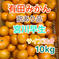 旨得！山富農園の宮川早生　訳あり品　10kg 【歳末セール中！】 箱込み10kg   果物/温州みかん通販