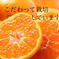 上野早生小玉3kg 3kg 果物/温州みかん通販