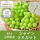 贈答用シャインマスカット2kg（3～4房）【銀賞受賞】／本気農場いけだ 約2kg（3～4房） 果物/ぶどう通販
