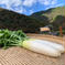 【あまくて。みずみずしい。】兵庫県香美町産「秋大根」３本セット 3本 野菜/大根通販