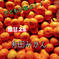 有田みかん  2S   5kg  数量限定 5kg 果物/温州みかん通販