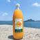 【農薬不使用】カラマンダリンジュース　1000ml　6本　無添加果汁100％ 1000ml 6本 飲料/ジュース通販
