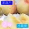 《冷蔵便》【家庭用】桃 2kg (8～10玉) 愛媛県産 8～10玉 果物/もも通販