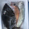 【瀬戸内海】岡山県産の鮮魚ボックス2〜4種3キロ以上 3キロ以上 魚介類/魚介セット・詰め合わせ通販