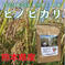 (熊本)【令和6年】<10月下旬発送予定>冷めても美味いご飯！球磨産 ヒノヒカリ 球磨川流域で育った米 5kg x 3 米・穀物/米/精米通販