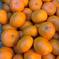 安間農園の三岳みかん🍊【🉐大玉】 10kg 果物/温州みかん通販