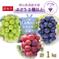 W3M-2 花笑み農園　訳あり『ブドウ3種以上MIX』2kg【9/16～順次発送】 2kg 果物/ぶどう通販