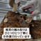 クール便発送　2キロの頑張って成長したが形が悪い徳島県産肉厚歯応えの良い椎茸さん 重量２キロ　本数は収穫日によりけり 野菜/きのこ通販