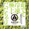 【10月以降出荷】冷凍だだちゃ豆800g 800g 野菜/野菜の加工品通販