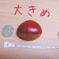 今年もよろしくお願いします♪くりやまサンちの栗🌰500g 500g 果物/栗通販