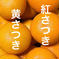 木成り八朔”さつき”【４月発送】 【黄のみ】正味4kg 果物/オレンジ・その他みかん通販