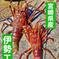 大きめの伊勢エビ！　２匹セット　１匹450g前後 ２匹　約900g前後　(1匹　420g～480g) 魚介類/エビ通販