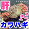 【お試し】 カワハギ  詰め合わせ サイズミックス   肝パンかも？じゃないかも？ サイズミックス  1キロ〜(入るほど) 魚介類/魚介セット・詰め合わせ通販