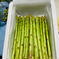 数量限定　Lサイズ朝採り春アスパラアスパラガス1kg アスパラガス1kg 野菜/アスパラガス通販