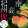 訳あり【S-L】青梅　南高梅 2kg 果物/青梅通販