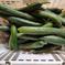 まるど農園のきゅうり 約1.5kg 12~16本 野菜/きゅうり通販