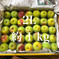 M 南高梅10kg 10kg 果物/青梅通販