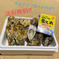 糸島産｢みるくがき｣30個入り 送料無料!!【水産物応援商品】 1.8~2.6kg 魚介類/牡蠣通販