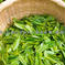 沢山入ってお買い得　水出し茶　抹茶入り 1袋30パック入り お茶/緑茶通販