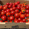 訳あり！！ミニトマト🍅ほれまる🍅 2kg 野菜/トマト通販