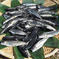 ニジマス小サイズ(唐揚げ・南蛮漬けなどに)×2箱 2kg 魚介類/川魚通販