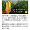 ワケあり！甘々娘or甘太郎　8～14本入り　レンジでそのままチンパック入り ３ｋｇ 野菜/とうもろこし通販