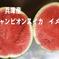 兵庫産　チャンピョン　大玉スイカ　8200ｇ　訳あり ８２００ｇ 果物/スイカ通販