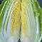愛媛県産低農薬朝採りお腹いっぱいブロッコリーと白菜大根 100サイズ箱 野菜/野菜セット・詰め合わせ通販
