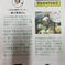 超大きい7.8kg🧅新玉ねぎ　シャーロットオニオン 新玉ねぎ7.8kg 野菜/玉ねぎ通販
