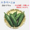 【北海道・沖縄専用】ハラペーニョ 約300g 宮崎産 フレッシュ 収穫後農園から直送 約300g 野菜/スパイス通販