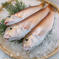 【超高級魚】白甘鯛の一夜干し 5pc(1pc1匹150g-200g) 魚介類/魚介の加工品通販