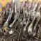 (大きめ)泥・根付き 熊本県産らっきょう(お漬物に)農薬肥料不使用10kg 10kg 野菜/その他野菜通販