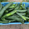 無農薬栽培 きゅうり （無農薬キュウリ）Cucumber 訳あり3本 無農薬きゅうり3本 野菜/きゅうり通販
