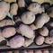 🥔農薬・化学肥料不使用「アンデスレッド」3kg　サイズ色々🥔 ジャガイモ（アンデスレッド）3kg 野菜/じゃがいも通販