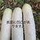 【自然栽培】大根（だいこん）10㎏（農薬・肥料不使用） 10kg 野菜/大根通販