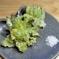 《ぷっくり大きい！》ふきのとう『秋田ふき』 500g(約35~50個) 野菜/山菜通販