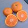 安間農園の三岳みかん🍊 5kg 果物/温州みかん通販