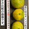 5周年限定　訳ありみかん Ｂ級品 3キロ　サイズSからL 3kg 果物/温州みかん通販